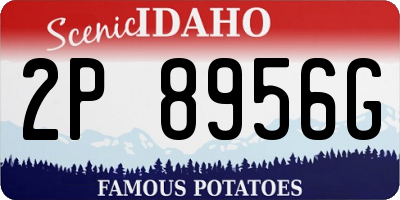 ID license plate 2P8956G