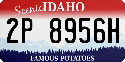 ID license plate 2P8956H