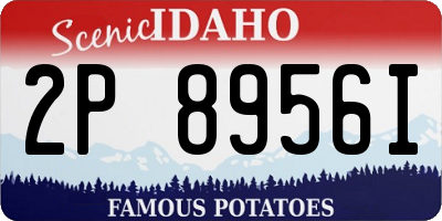 ID license plate 2P8956I