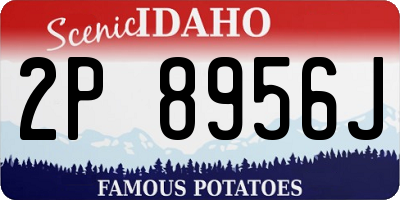 ID license plate 2P8956J