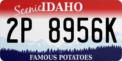 ID license plate 2P8956K