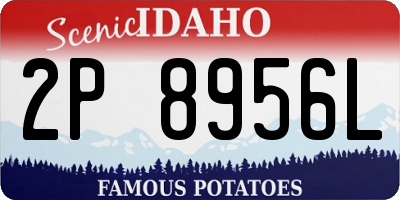 ID license plate 2P8956L