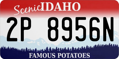 ID license plate 2P8956N