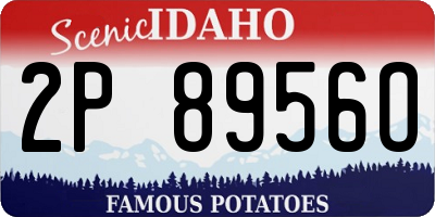 ID license plate 2P8956O