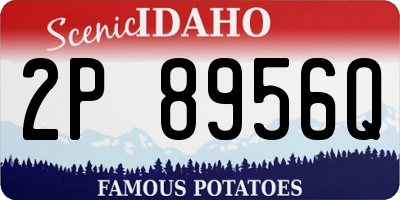 ID license plate 2P8956Q