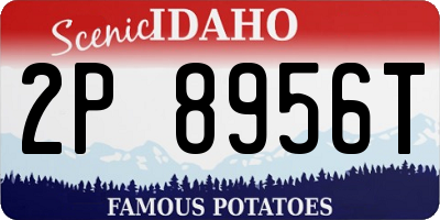 ID license plate 2P8956T