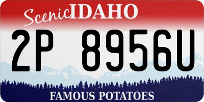 ID license plate 2P8956U