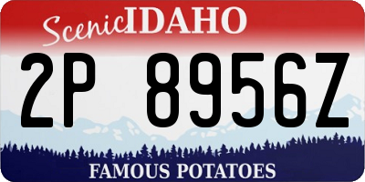 ID license plate 2P8956Z