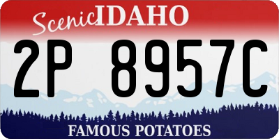 ID license plate 2P8957C
