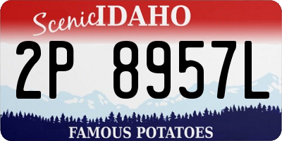 ID license plate 2P8957L