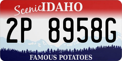 ID license plate 2P8958G