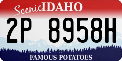 ID license plate 2P8958H
