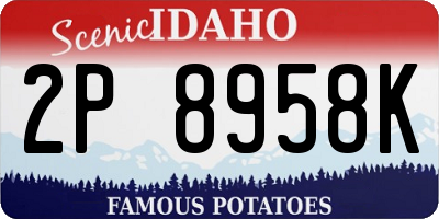 ID license plate 2P8958K