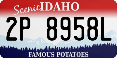 ID license plate 2P8958L