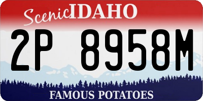 ID license plate 2P8958M