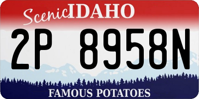 ID license plate 2P8958N