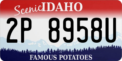 ID license plate 2P8958U