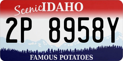 ID license plate 2P8958Y