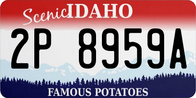ID license plate 2P8959A