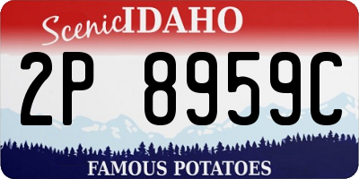 ID license plate 2P8959C