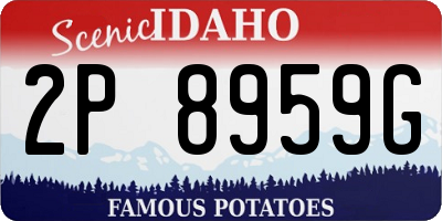 ID license plate 2P8959G