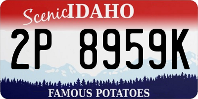 ID license plate 2P8959K