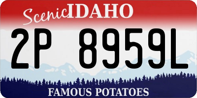 ID license plate 2P8959L