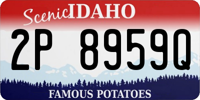 ID license plate 2P8959Q