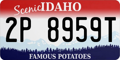 ID license plate 2P8959T