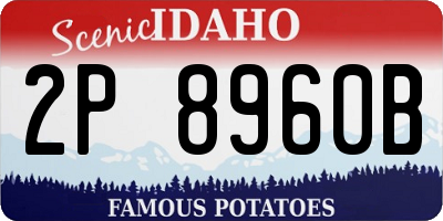 ID license plate 2P8960B
