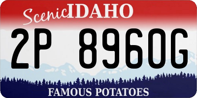 ID license plate 2P8960G