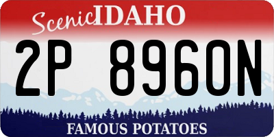 ID license plate 2P8960N