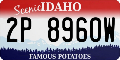 ID license plate 2P8960W