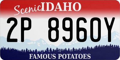ID license plate 2P8960Y