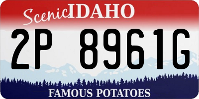 ID license plate 2P8961G