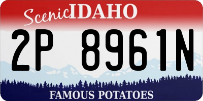 ID license plate 2P8961N