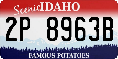 ID license plate 2P8963B
