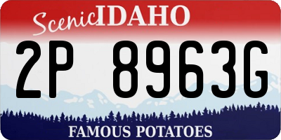 ID license plate 2P8963G