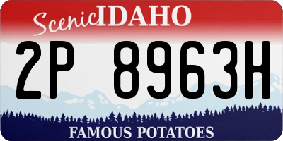 ID license plate 2P8963H