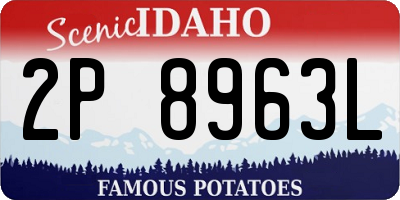 ID license plate 2P8963L