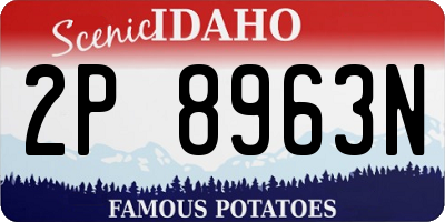 ID license plate 2P8963N