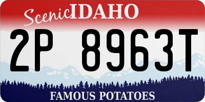 ID license plate 2P8963T