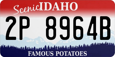 ID license plate 2P8964B