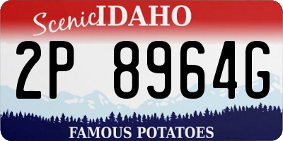ID license plate 2P8964G