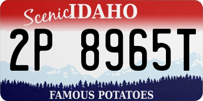 ID license plate 2P8965T