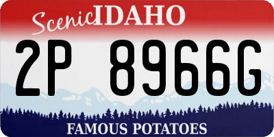 ID license plate 2P8966G