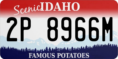 ID license plate 2P8966M