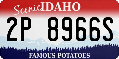 ID license plate 2P8966S