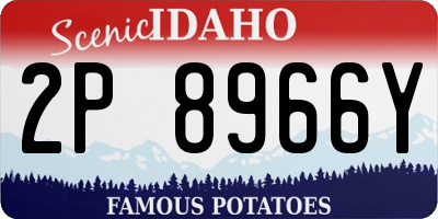 ID license plate 2P8966Y