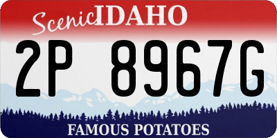 ID license plate 2P8967G